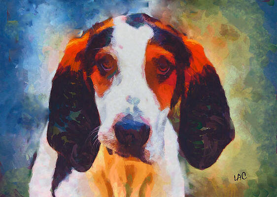 Treeing Walker Coonhound by Doggy Lips Treeing Walker Coonhound by Doggy Lips