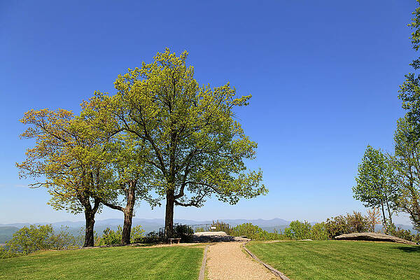 Wall Art - Photograph - Trees in North Carolina at Jump Off Rock by Jill Lang