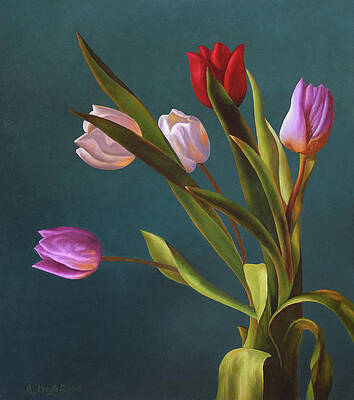 Tulip Bouquet by Abel DeLaRosa Tulip Bouquet by Abel DeLaRosa