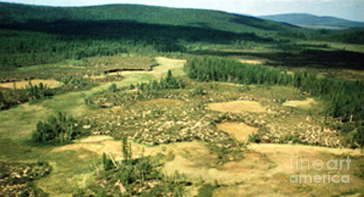 Wall Art - Photograph - Tunguska Event Site by Science Source