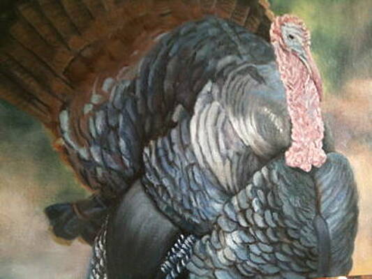Turkey Strut by Cynthia Vowell
