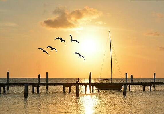 Wall Art - Photograph - Twilight by Carolyn Mickulas