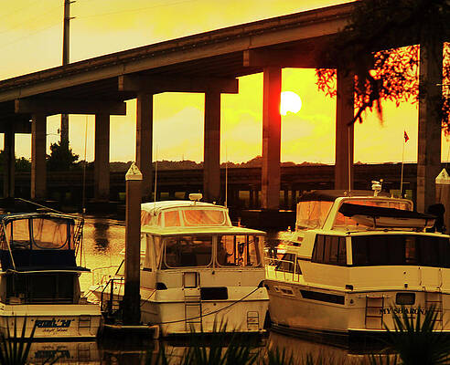 Wall Art - Photograph - Twilight on Jekyll Island by Rod Whyte