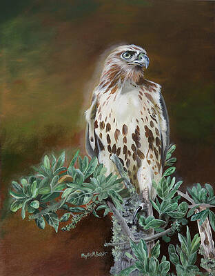 Twilight Sentinel by Phyllis Beiser Twilight Sentinel by Phyllis Beiser