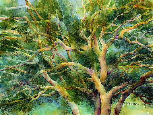 Wall Art - Painting - Twisted Oak by Hailey E Herrera