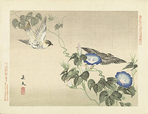 Two Birds Flying Near Blue Bindweed Print by Matsumura Keibun