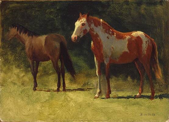 Two Horses Print by Albert Bierstadt