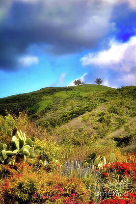 Two Trees in Spring by John A Rodriguez Two Trees in Spring by John A Rodriguez