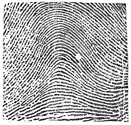 Wall Art - Photograph - Typical Arch Pattern, 1900 by Science Source