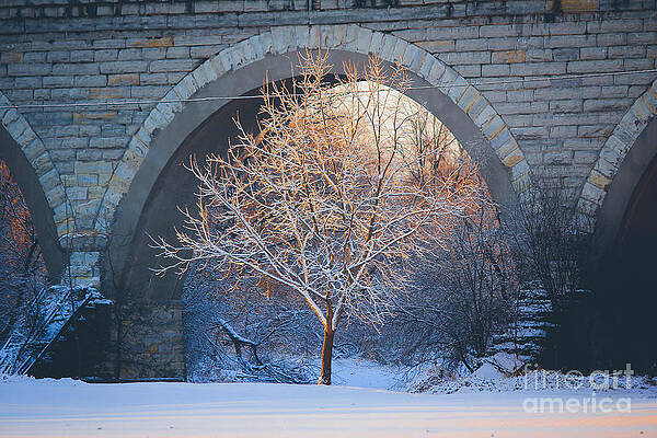 Under the Bridge, A Winter's Song by Viviana Nadowski Under the Bridge, A Winter's Song by Viviana Nadowski