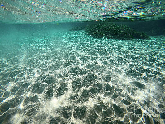 Underwater sea scene  by Mitar Art Photo