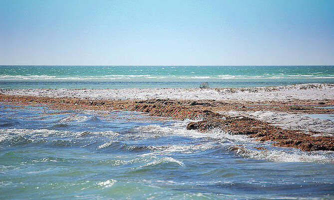 Wall Art - Photograph - Unspoiled Beauty by Donna Proctor