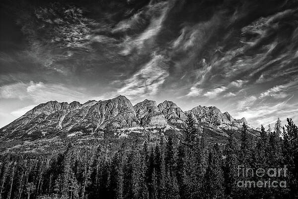 Wall Art - Photograph - Up Above by David Hillier