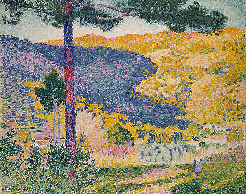 Valley with Fir. Shade on the Mountain Print by Henri-Edmond Cross