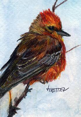 Wall Art - Painting - Vermillion Flycatcher by Jimmie Trotter