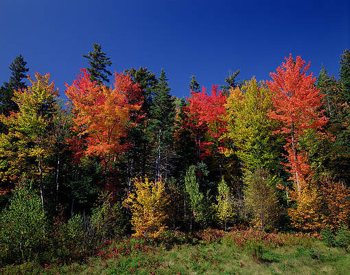 Wall Art - Photograph - View in the Appalachian Mountains by View in the Appalachian Mountains