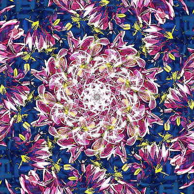 Wall Art - Digital Art - Violet Galaxy by Frans Blok