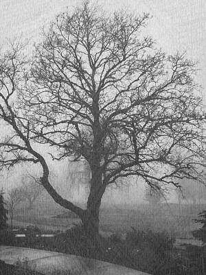 Wall Art - Drawing - Walk in the Park by Danielle Yandell