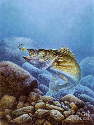 Walleye Paintings for Sale (Page #2 of 6) - Pixels