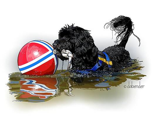 Water Dog 3  by Debra Bender