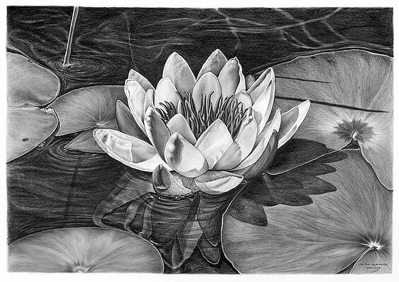 Realistic Water Drawings Page 3 Of 3 Fine Art America Tips, techniques and drawing tutorials. realistic water drawings page 3 of 3