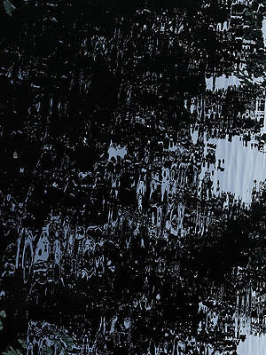 Water Mirror by Stanislav Martynov