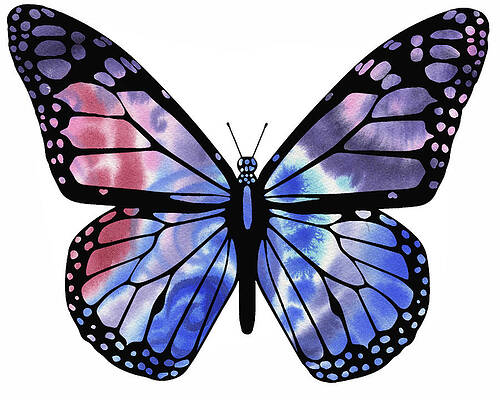 Monarch Butterfly Paintings Fine Art America