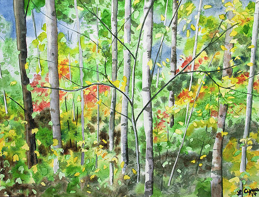 Wall Art - Painting - Watercolor - Northern Forest by Cascade Colors