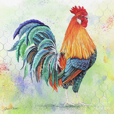 Abstract Rooster Paintings Fine Art America