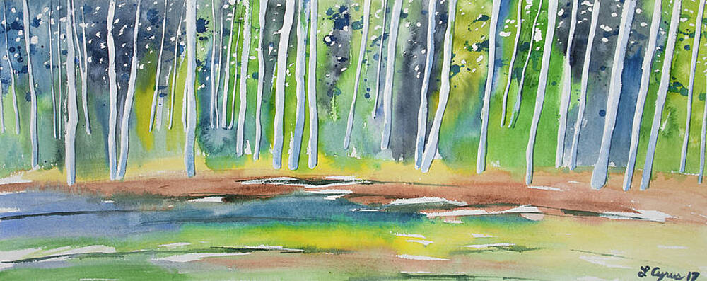 Watercolor Summer Aspen Forest Impression Painting By Cascade