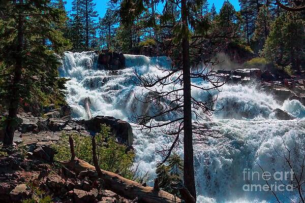 Wall Art - Photograph - Waterfall Between the Trees by Joe Lach