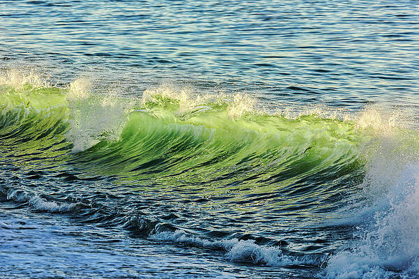 Wall Art - Photograph - Wave Crest by Kelley King
