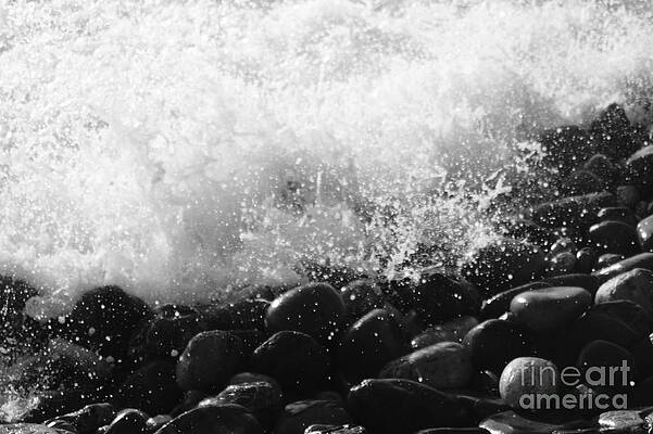 Waves by Studio Zoe