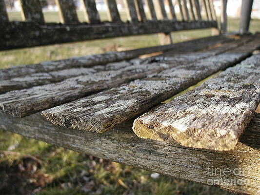 Weathered by Craig McKee