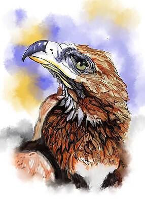 Wedge-Tailed Eagle by Robert Bovasso