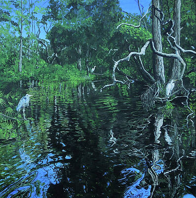Wekewa River by Thomas Stead Wekewa River by Thomas Stead