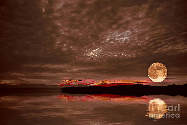 Welcome Beach Supermoon by Elaine Hunter Welcome Beach Supermoon by Elaine Hunter