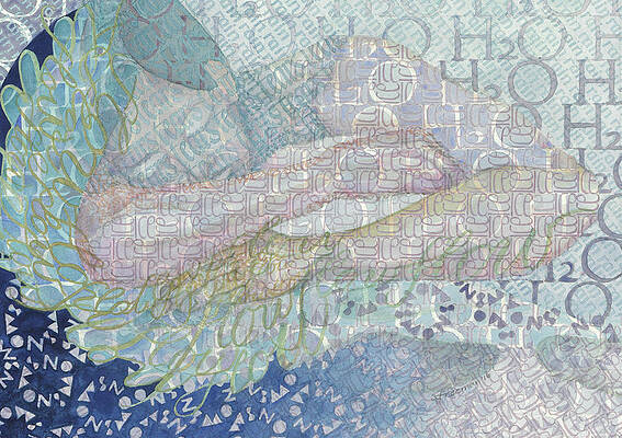 What Does Water Dream by Sid Freeman What Does Water Dream by Sid Freeman