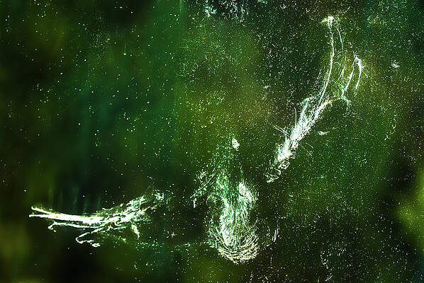 Onyonet Photo Studios Impressions Abstracts Wall Art