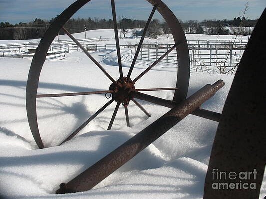 Wheel and Axil  by Stephanie Parent