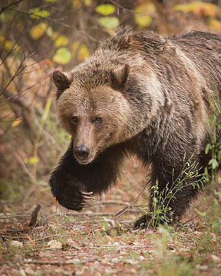 Where Can I Find a Good Manicure? by Mike Handley