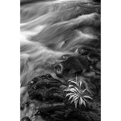 Wall Art - Photograph - While Standing Next To A Stream I by Jon Glaser