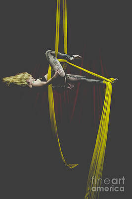 Whipped Silks by Scott Sawyer Whipped Silks by Scott Sawyer
