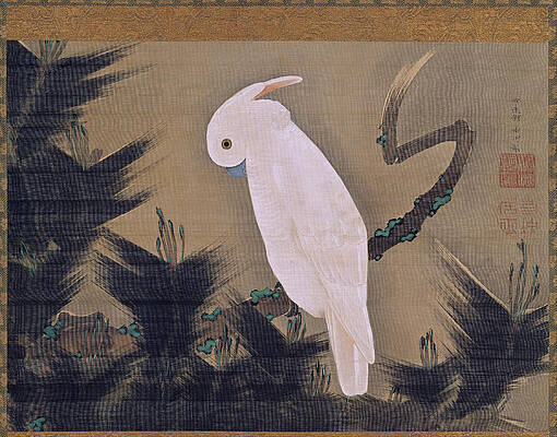 White Cockatoo on a Pine Branch Print by Ito Jakuchu