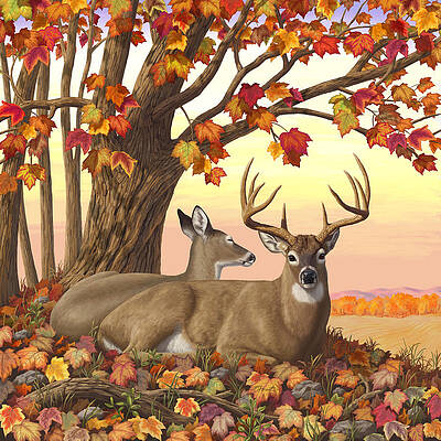 Autumn Fire Maple Photograph by EGiclee Digital Prints - Fine Art America