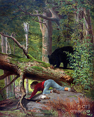 Wall Art - Photograph - Who is Hunting Who 1872 by Science Source