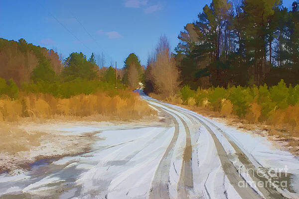 Wall Art - Photograph - Snow Covered Lane by Roberta Byram