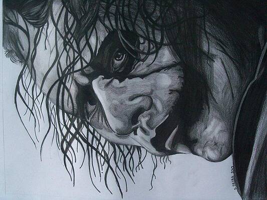 Wall Art - Drawing - Why So serious by Shavonne Bryan