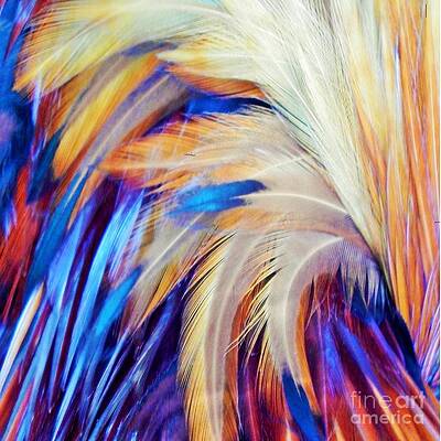 Wall Art - Photograph - Wild Feather Bouquet by Jan Gelders