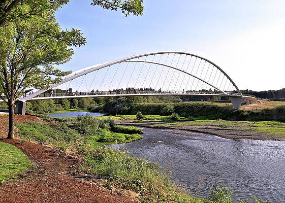Willamette Pedestrian Bridge by Lora Fisher Willamette Pedestrian Bridge by Lora Fisher